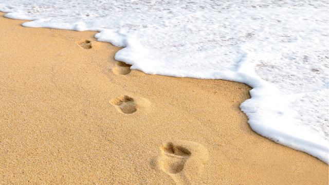 Dionisius beach footprints wave surfboard free wallpaper for desktop - medium preview image