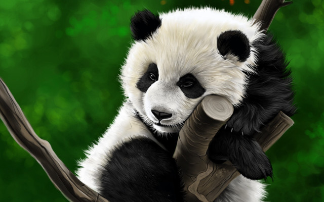 Panda birthday sign digital painting free wallpaper for desktop - medium preview image