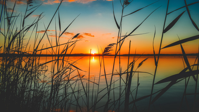 Sunset lake tallgrass orange sky #2 free wallpaper for desktop - medium preview image