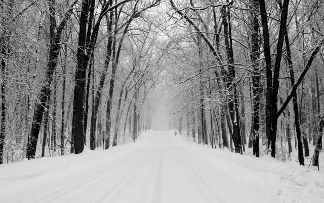 Snowy road trees snow ground free wallpaper for desktop - medium preview image