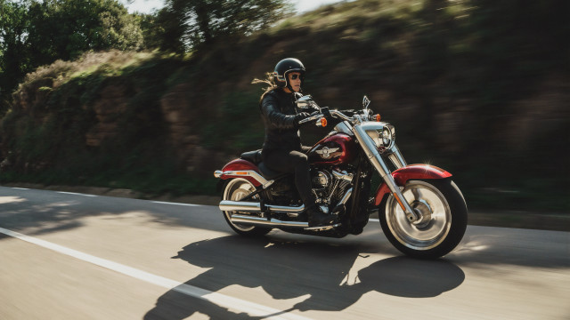 Motorcycle riding forest hills sunny free wallpaper for desktop - medium preview image