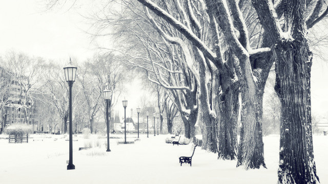 Snowy park bench street lamps free wallpaper for desktop - medium preview image