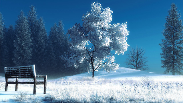 Bench snowy field tree blue free wallpaper for desktop - medium preview image