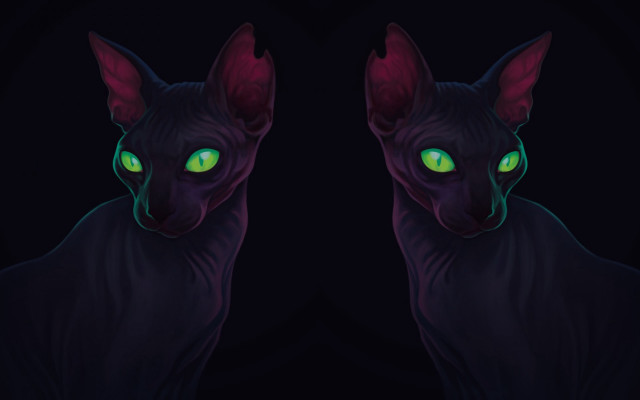 Black cat glowing green eyes #4 free wallpaper for desktop - medium preview image