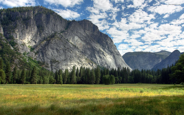 Mountain meadow trees blue sky #2 free wallpaper for desktop - medium preview image