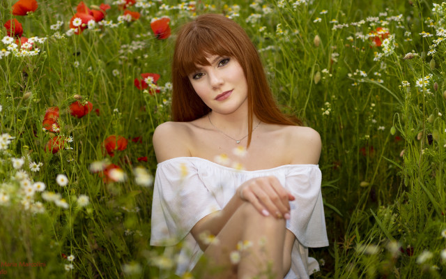 Anna hotchkis flower field christmas free wallpaper for desktop - medium preview image