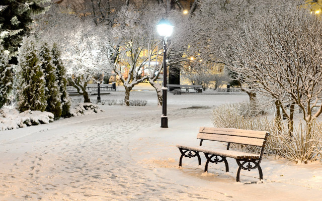 Bench snowy park night streetlight #10 free wallpaper for desktop - medium preview image