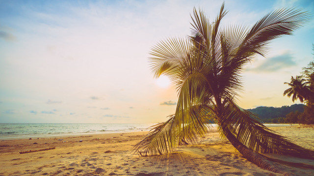 Palm beach sunset clouds ocean free wallpaper for desktop - medium preview image