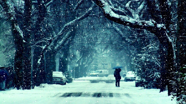 Person walking snowy street umbrella free wallpaper for desktop - medium preview image