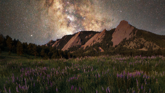 Mountain flower field starry night free wallpaper for desktop - medium preview image