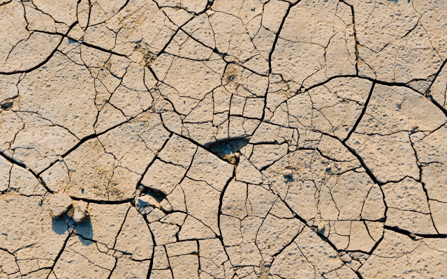 Cracked surface bird honeycomb fence free wallpaper for desktop - medium preview image