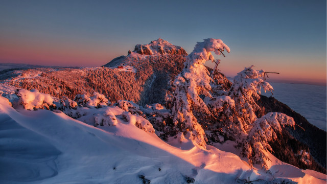 Mountain snow trees sky clouds #2 free wallpaper for desktop - medium preview image
