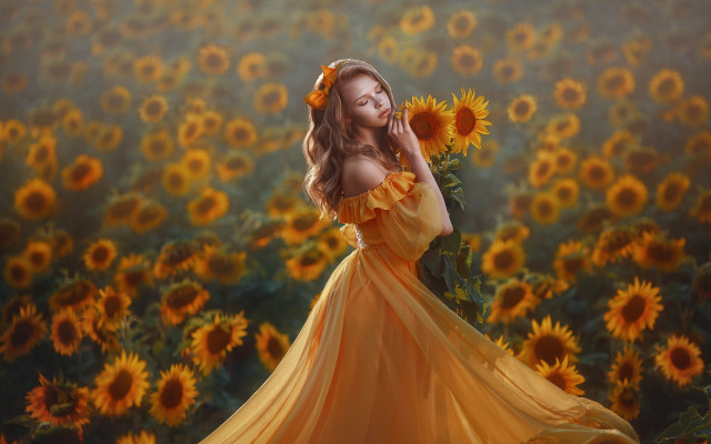Woman yellow dress sunflowers fireworks free wallpaper for desktop - medium preview image