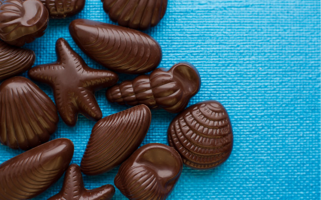 Chocolate sea shells blue towel free wallpaper for desktop - medium preview image