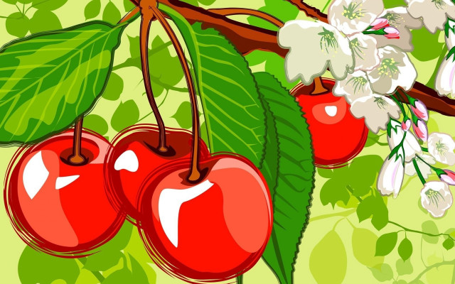 Cherries flowers leaves green background free wallpaper for desktop - medium preview image