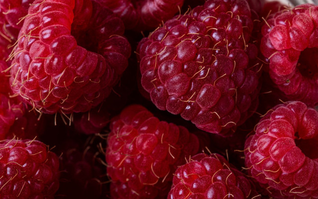 Raspberries water droplets macro closeup free wallpaper for desktop - medium preview image