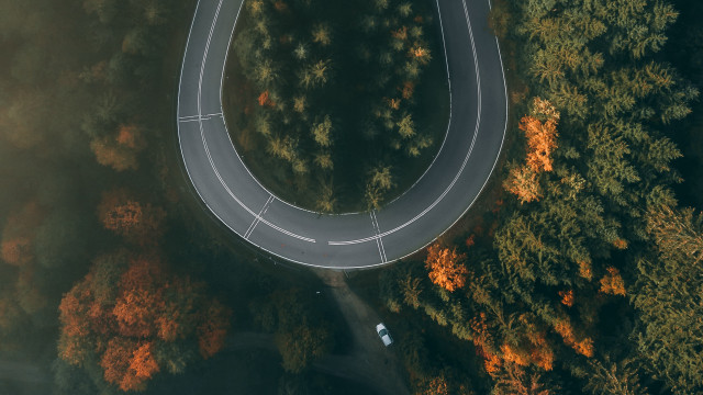 Curved road forest car autumn free wallpaper for desktop - medium preview image