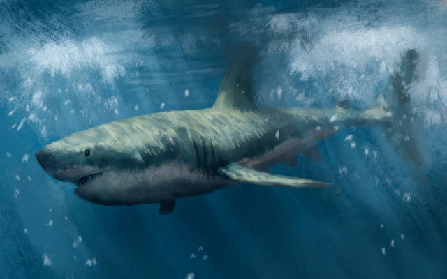 Great white shark ocean bubbles free wallpaper for desktop - medium preview image