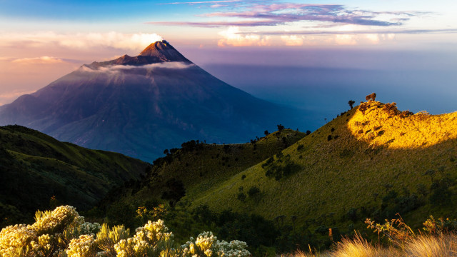 Mountain peak clouds flower landscape free wallpaper for desktop - medium preview image