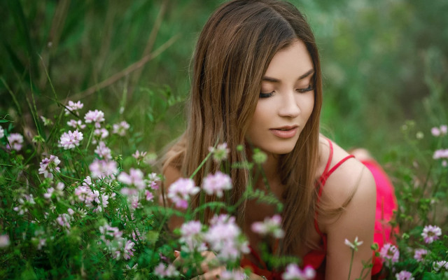 Red dress woman flower field free wallpaper for desktop - medium preview image