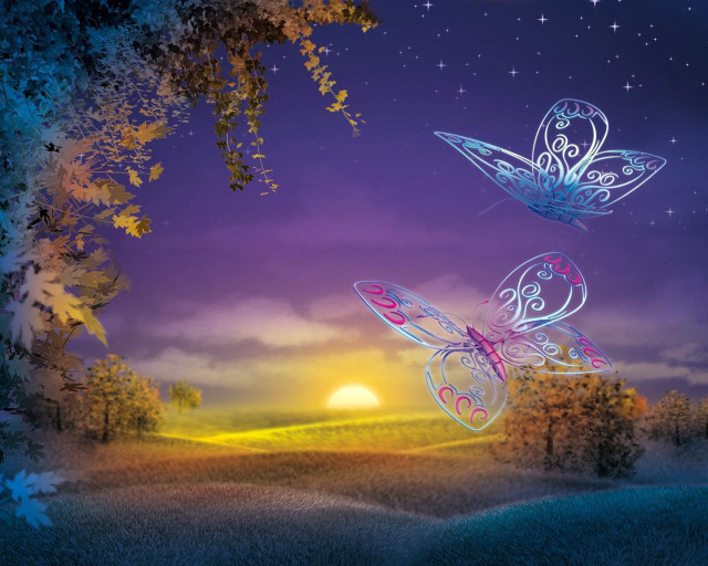Butterflies flying field night sunset free wallpaper for desktop - medium preview image