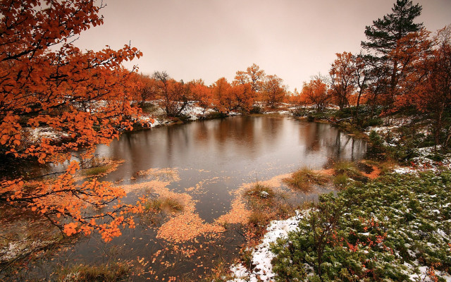 Lake trees orange leaves snow free wallpaper for desktop - medium preview image