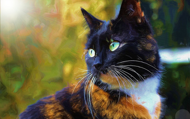 Cat glowing blue eyes digital free wallpaper for desktop - medium preview image