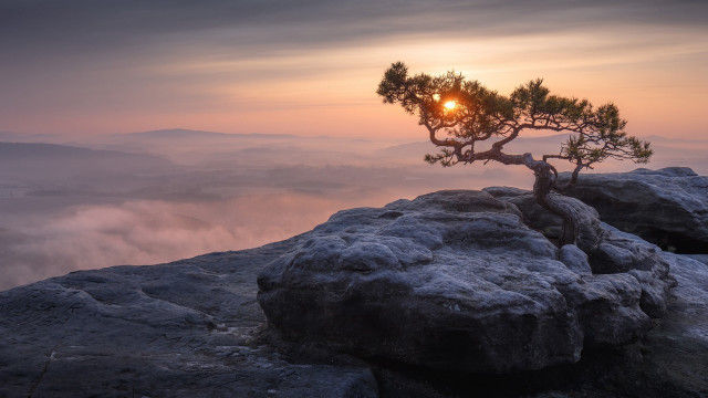 Lone pine rocky cliff sunset free wallpaper for desktop - medium preview image