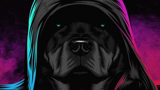 Dog hooded jacket purple blue free wallpaper for desktop - medium preview image