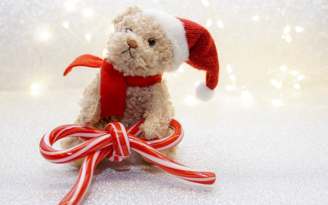 Teddy bear santa hat scarf free wallpaper for desktop - medium preview image