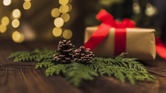 Present box red ribbon pine free wallpaper for desktop - medium preview image