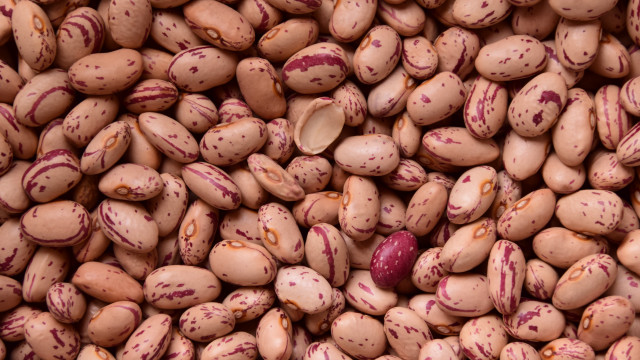 Beans red spots brown top free wallpaper for desktop - medium preview image