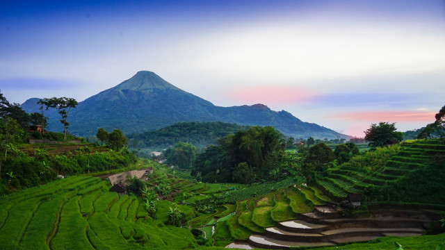 Lush green hillside mountain steps free wallpaper for desktop - medium preview image