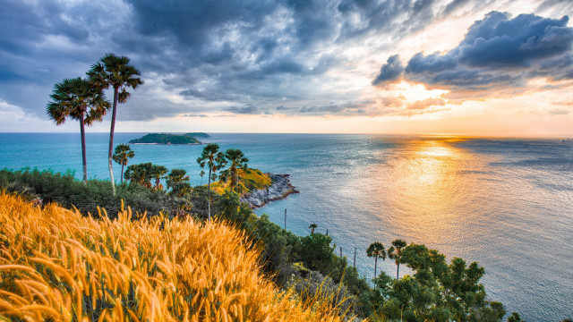 Sunset ocean palm trees cliff free wallpaper for desktop - medium preview image