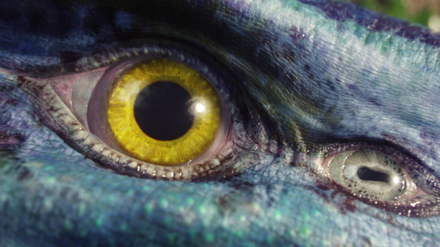 Dragon eye yellow black reflection free wallpaper for desktop - medium preview image