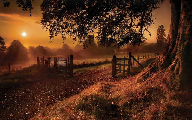 Fence tree foggy sunset autumn free wallpaper for desktop - medium preview image