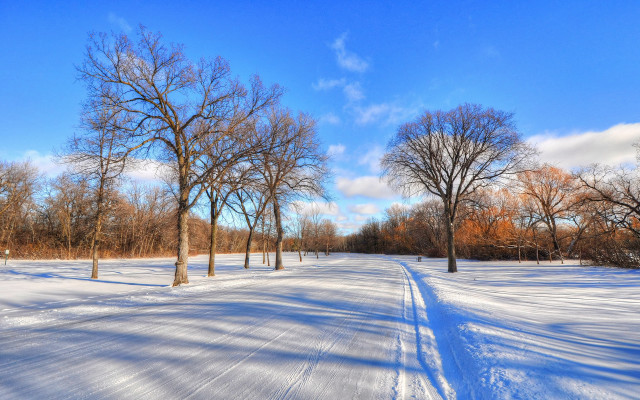Snowy field trees blue sky #2 free wallpaper for desktop - medium preview image