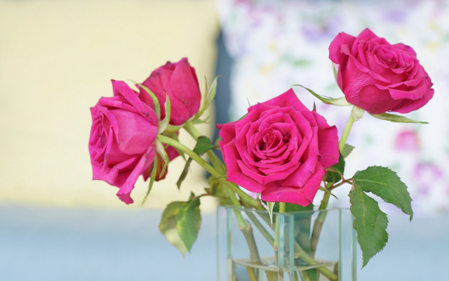 Pink roses vase bouquet bed free wallpaper for desktop - medium preview image