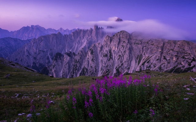 Mountain range purple sky flower free wallpaper for desktop - medium preview image