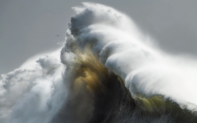 Large wave crashing boat bird free wallpaper for desktop - medium preview image