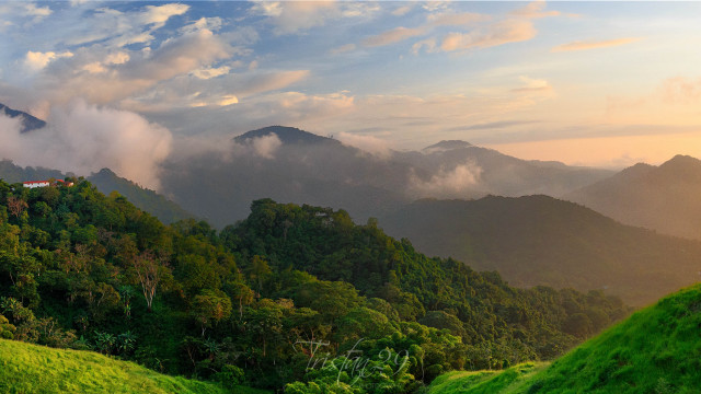Lush green hillside clouds trees free wallpaper for desktop - medium preview image
