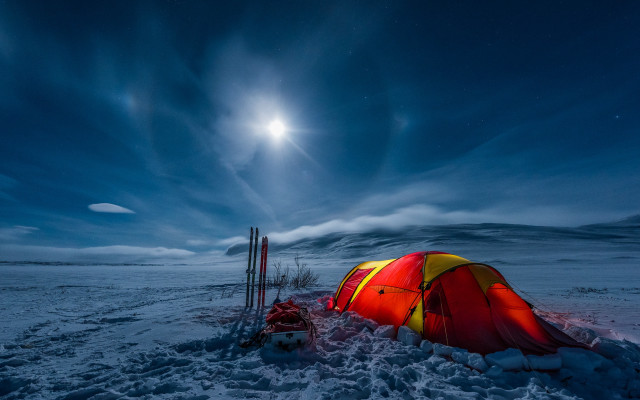 Tent moon snow dog planet free wallpaper for desktop - medium preview image