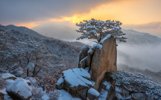 Tree rock snowy mountain sunset free wallpaper for desktop - medium preview image