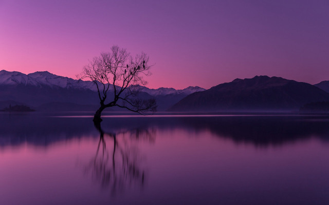 Lone tree lake sunset mountains #4 free wallpaper for desktop - medium preview image