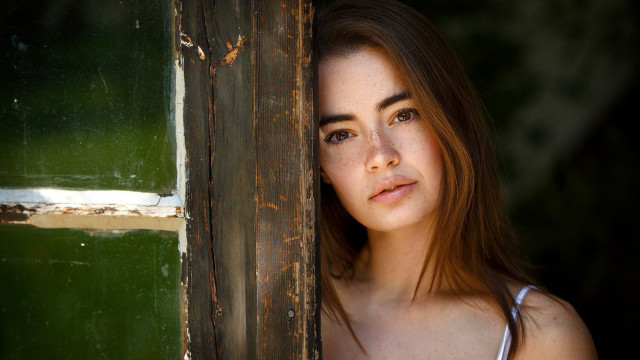 Woman looking window green background free wallpaper for desktop - medium preview image