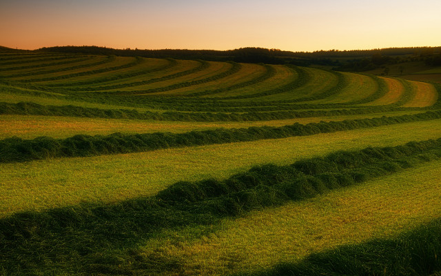 Sunset field grass trees mountains free wallpaper for desktop - medium preview image