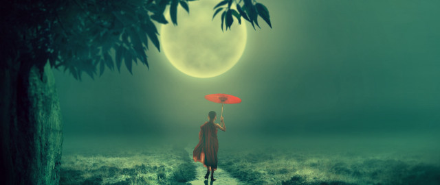 Moonlit bamboo forest umbrella night free wallpaper for desktop - medium preview image
