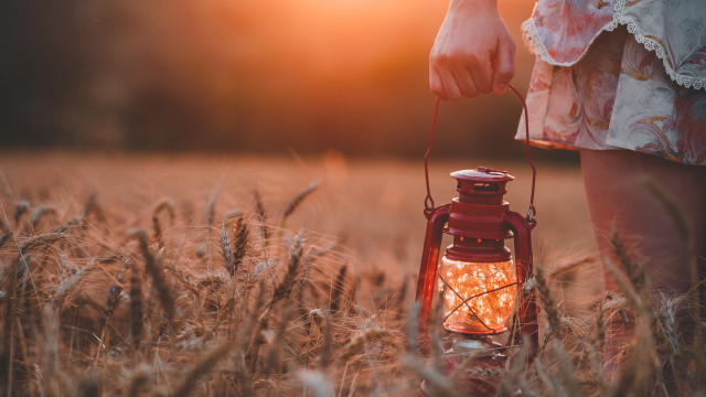 Lantern wheat field sunset neo free wallpaper for desktop - medium preview image