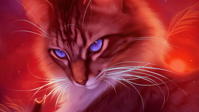 Cat blue eyes feather red free wallpaper for desktop - medium preview image