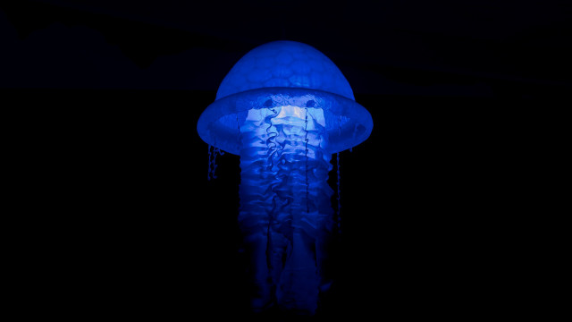 Blue jellyfish bioluminescence hologram ecological free wallpaper for desktop - medium preview image